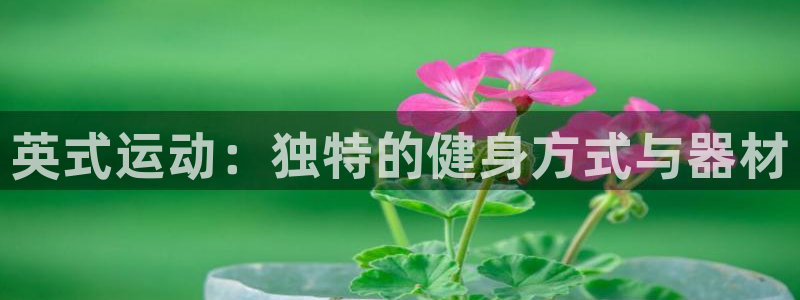 征途国际平台注册要钱吗是真的吗：英式运动：独特的健身