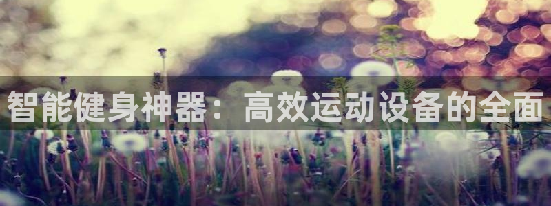 征途国际平台注册要钱吗：智能健身神器：高效运动设备的