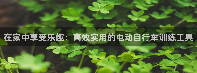 征途国际官网：在家中享受乐趣：高效实用的电动自行车训