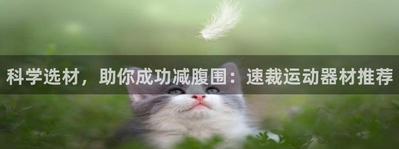 征途国际集团官网首页：科学选材，助你成功减腹围：速裁