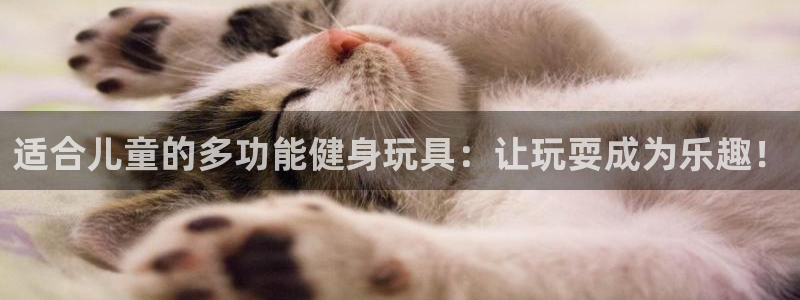 征途国际招商：适合儿童的多功能健身玩具：让玩耍成为乐