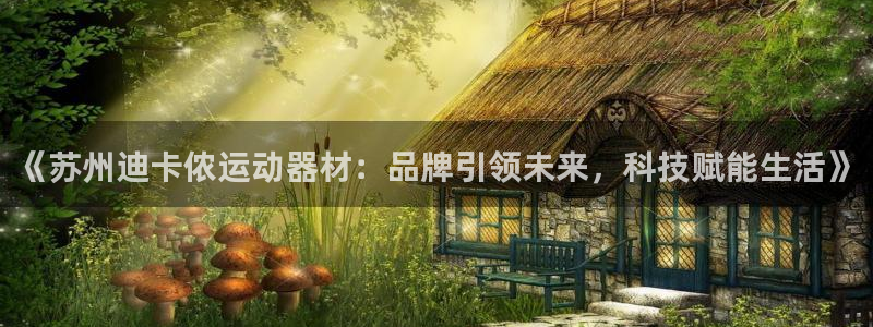 征途国际：《苏州迪卡侬运动器材：品牌引领未来，科技赋