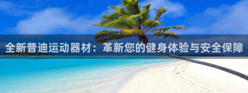 征途国际软件：全新普迪运动器材：革新您的健身体验与安