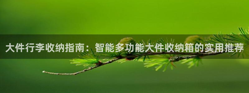 征途国际代理：大件行李收纳指南：智能多功能大件收纳箱