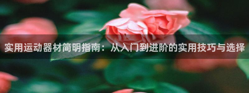 征途国际娱乐代理怎么样：实用运动器材简明指南：从入门