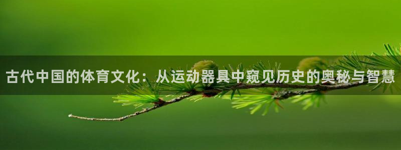 征途国际是干嘛的公司