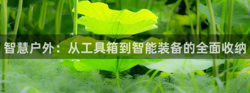 征途国际平台注册流程图：智慧户外：从工具箱到智能装备