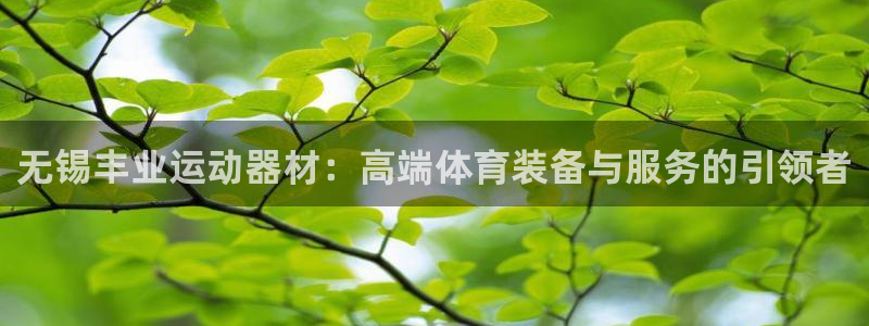 征途国际招商电话号码查询是多少：无锡丰业运动器材：高端体育装