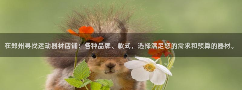 征途国际招商电话号码查询是多少：在郑州寻找运动器材店铺：各种