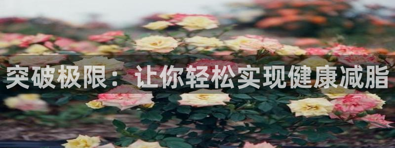 征途国际新能源：突破极限：让你轻松实现健康减脂