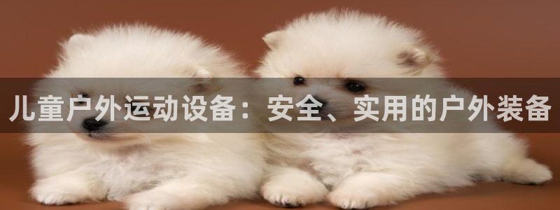 征途国际集团logo：儿童户外运动设备：安全、实用的户外装备