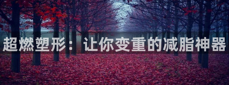 征途国际集团官网首页：超燃塑形：让你变重的减脂神器