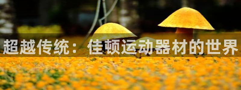 征途国际招商电话地址查询