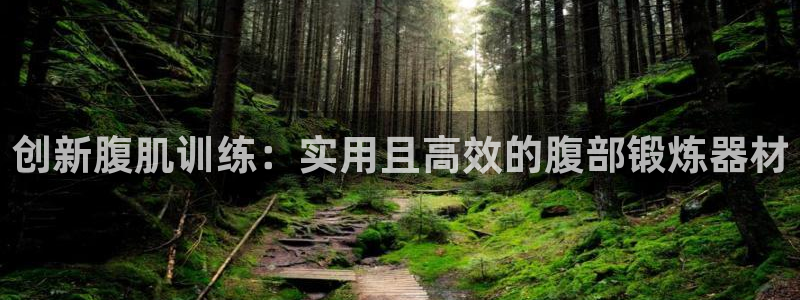 征途国际是干嘛的公司：创新腹肌训练：实用且高效的腹部锻炼器材