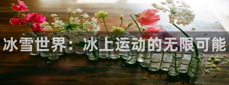 征途国际招商电话是多少：冰雪世界：冰上运动的无限可能