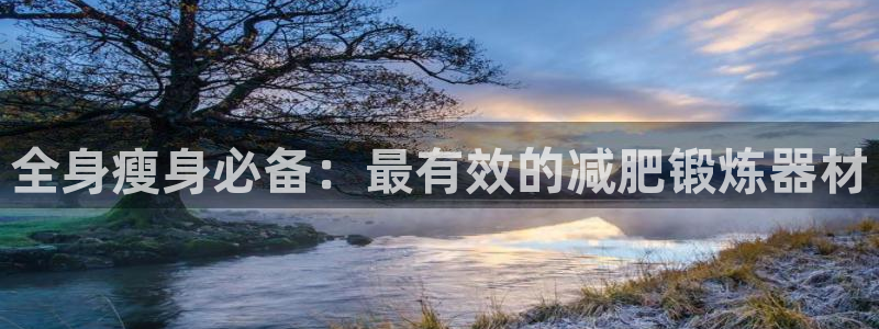 征途国际招商