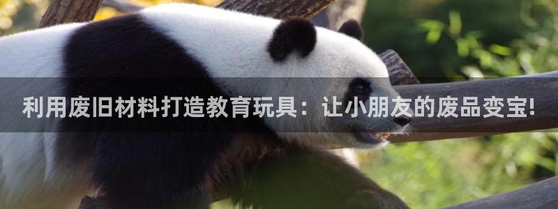 征途国际平台APP：利用废旧材料打造教育玩具：让小朋友的废品