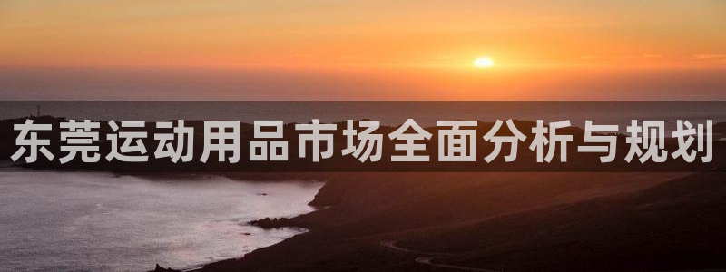 征途国际官网：东莞运动用品市场全面分析与规划